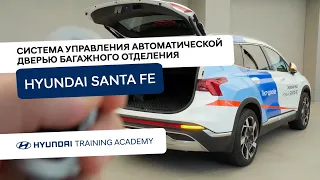 2022 Hyundai Santa Fe - Система управления автоматической дверью багажного отделения