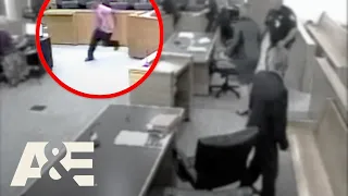 Court Cam: Animal Abuser BEGS for Mercy, Tries to Escape | A&E