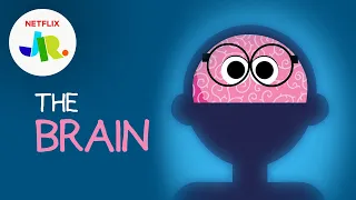 What is a Brain? 🧠 StoryBots: The Human Body for Kids | Netflix Jr