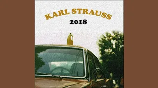 Karl Strauss - Silver Sun (Indie Alt Rock Instrumental)