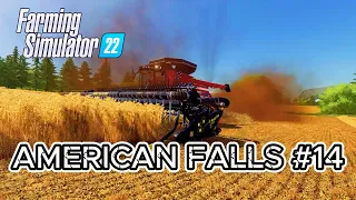 AMERICAN FALLS FS22 - Harvesting WHEAT & BARLEY - 4K Timelapse