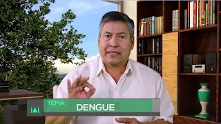 Medicina para todos: dengue