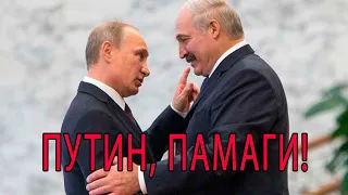 Срочно! Лукашенко спасает свою шкуру с помощью Путина - последние новости