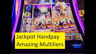 Jackpot Handpay on the New Buffalo Chief Platinum Slot!! Aristocrat