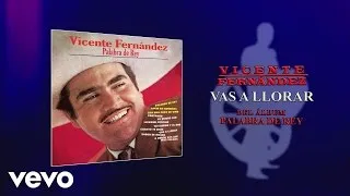 Vicente Fernández - Vas a Llorar (Cover Audio)