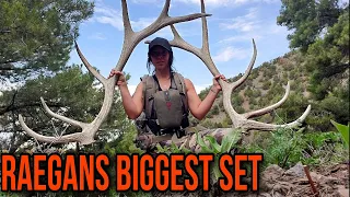 SHED HUNTING 2023 | ELK SHEDS | FOUND THE POCKET | ELK SHED HUNTING 2023