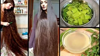 Масло алоэ вера для роста волос - Как приготовить масло Алоэ в домашних условиях!