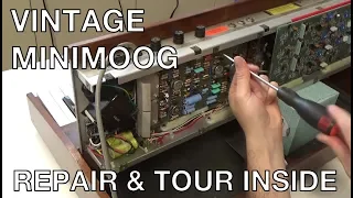 Synthchaser #108 - Vintage Minimoog Repair & Tour Inside