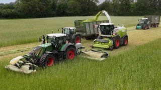 FENDT 930 mit KRONE EasyCut Mähkombi ist am mähen & CLAAS JAGUAR 950 häckselt / OSTERS & VOß / 4K