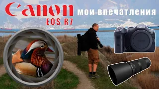 Canon Eos R7 - мои впечатления. Фотоаппарат для фотоохоты.