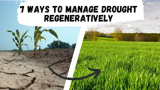 7 Regenerative Ways to Manage Drought
