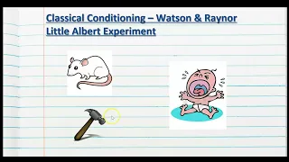 Classical Conditioning - Little Albert - The Psychology of Learning - Stage 2 Psychology