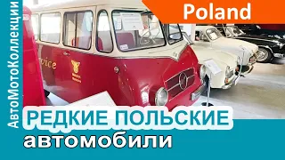 РЕДКИЕ ПОЛЬСКИЕ автомобили, которых МАЛО кто ВИДЕЛ