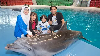 Best Dolphin Experience in Dubai 🐬  | UAE's No.1 Dolphin & Seal Show !