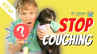 Coughing Dog? Try this NEW Remedy