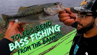 ❗️Toledo Bend Bass Fishing❗️from the BANK?! CANT BELIEVE WHAT HAPPENED ON OUR GUIDE TRIP!