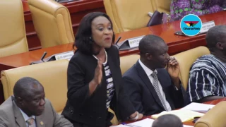 NPP never against borrowing - Deputy Finance Minister