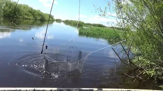 Spider fishing. Fishing on lift. Swamps, rivers and lakes in search of fish.