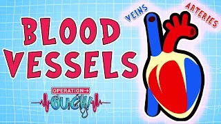 Operation Ouch - Blood Vessels | Science for Kids