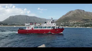 Boat trips to Seal Island-Hout Bay