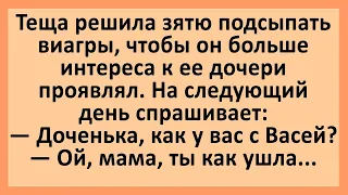 Тёща подсыпала зятю виагру... Сборник смешных анекдотов! Юмор!