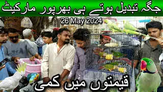 Lalukhet exotic birds market May 26, 2024 | Cheapest price birds market in karachi pakistan