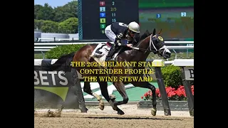 2024 BELMONT STAKES CONTENDER PROFILES - THE WINE STEWARD