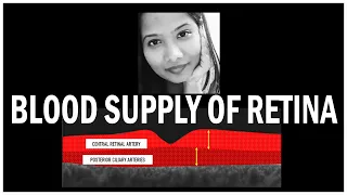 Blood Supply Of Retina | Cherry Red Spot | Cilioretinal Artery