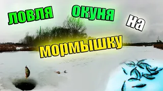 Ловля Окуня Зимой на Мормышку. Зимняя рыбалка 2021