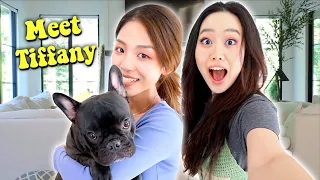 MEET MY FIANCE'S SISTER & A NEW FRENCH BULLDOG!!