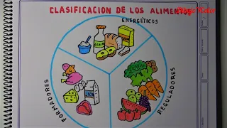 Cómo dibujar la CLASIFICACIÓN de los ALIMENTOS / How to draw the food groups