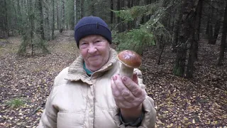 САМЫЕ НАСТОЯЩИЕ БЕЛЫЕ ГРИБЫ! С бабушкой и с МАЛЫШОМ в ЛЕС по ГРИБЫ!