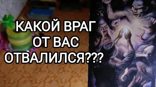 🍀Таро расклад🍀 КАКОЙ ВРАГ ОТ ВАС УЖЕ ОТВАЛИЛСЯ😁 🤭🤔🥳