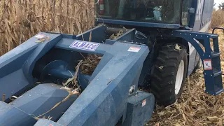 R1 Corn Harvest1