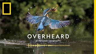 Legends of Kingfishers, Otters, and Red-tailed Hawks | Podcast | Overheard at National Geographic