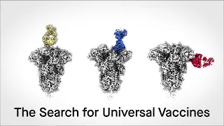 The search for universal vaccines