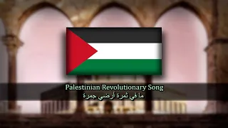 Palestinian Revolutionary Song - ما في ثمرة أرضي جمرة | What is in the fruit of my land is an ember