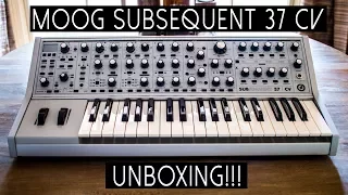 MOOG SUBSEQUENT 37 UNBOXING