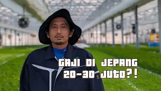 Spill REALITA GAJI kerja di JEPANG!