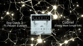 Roy Davis Jr Ft Peven Everett - Gabriel (Danny Blaze Jungle Edit) 𝗙𝗥𝗘𝗘 𝗗𝗢𝗪𝗡𝗟𝗢𝗔𝗗