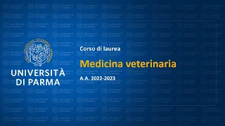 Cdl Magistrale a ciclo unico Medicina veterinaria
