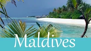 The Maldives (2004) [Documentation] |  complete Film (english)