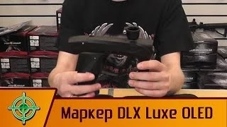 DLX Luxe 2.0 OLED. Обзор маркера | PBALLTV |