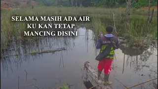 Apa gak bosan mancing disini mulu? Coba lihat ini! Casting ikan gabus di rawa buaya.