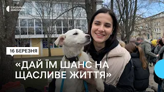 У Миколаєві відбулася виставка-прилаштування тварин