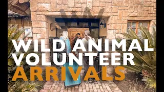 Wild Animal Volunteers