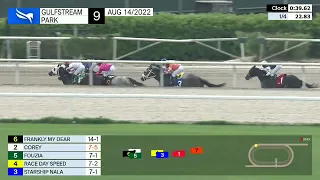 Gulfstream Park Carrera 9 (The Surfside Handicap) - 14 de Agosto 2022