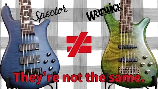 Warwick Streamer LX vs. Spector Euro LX Comparison
