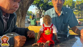 How does monkey YiYi react when meeting strangers