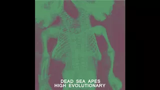 Dead Sea Apes - High Evolutionary(Full Album)